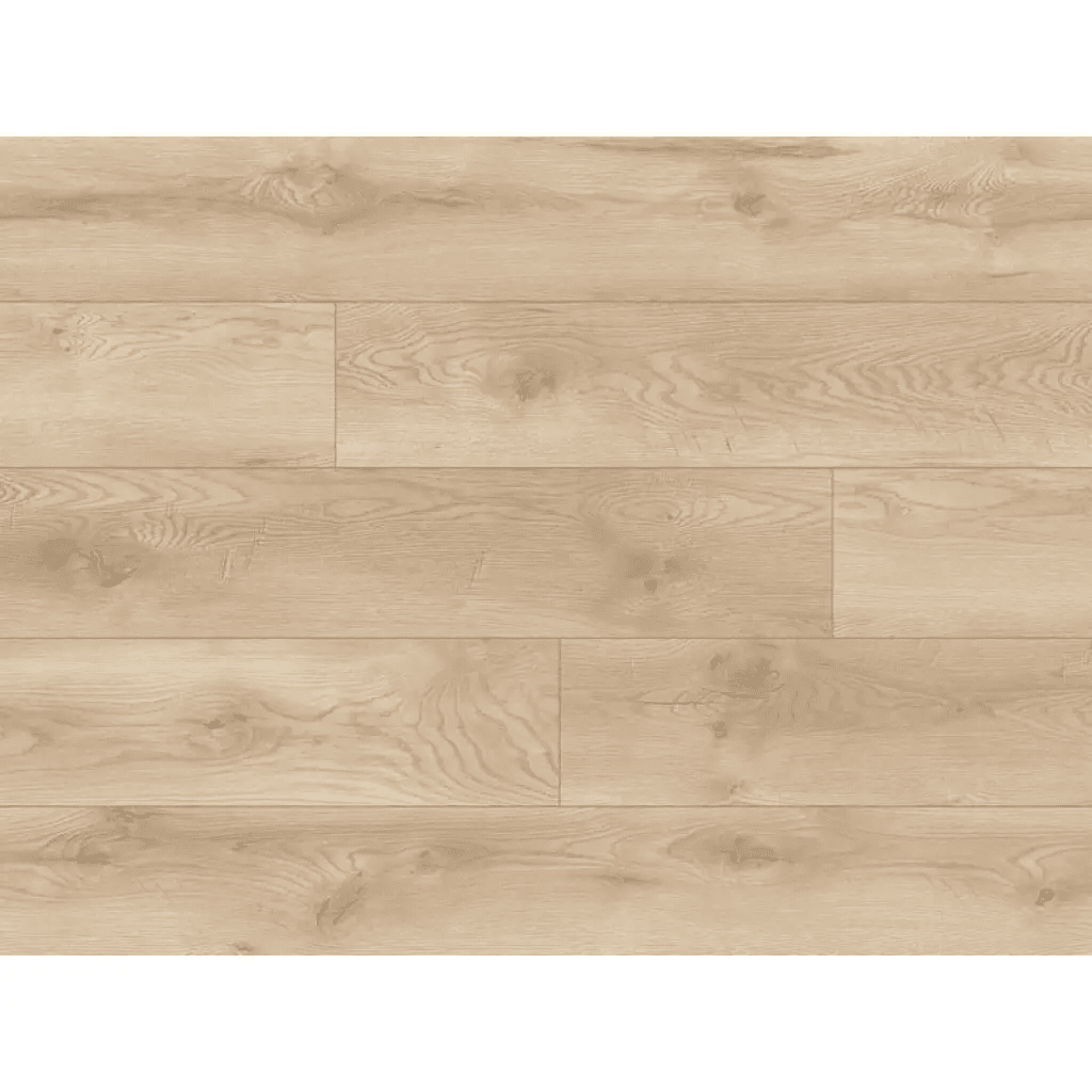 Panele podłogowe Dąb Albergo 66709 AC5 8 mm, Classen