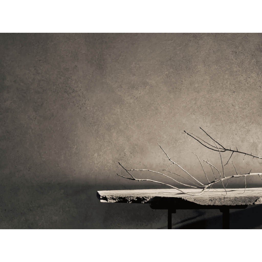 Płyta ścienna Zenith Grey 504C, 5905167881965, Modee