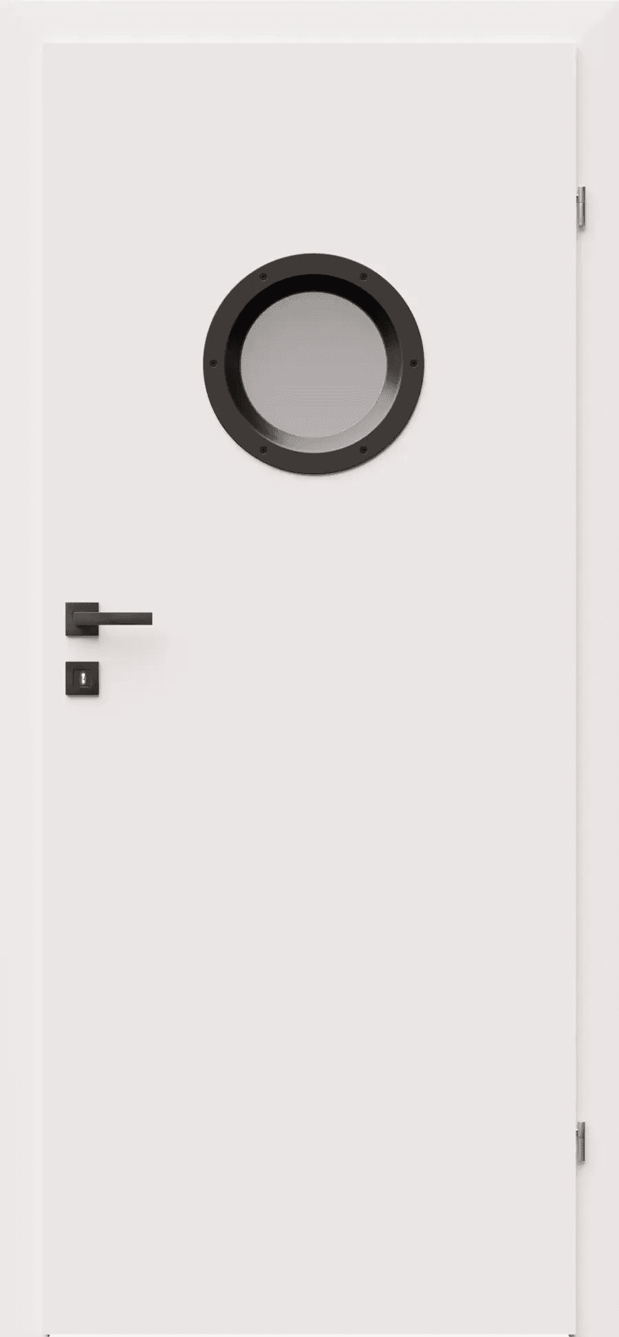 Drzwi Standard Invest metalowy, DRE