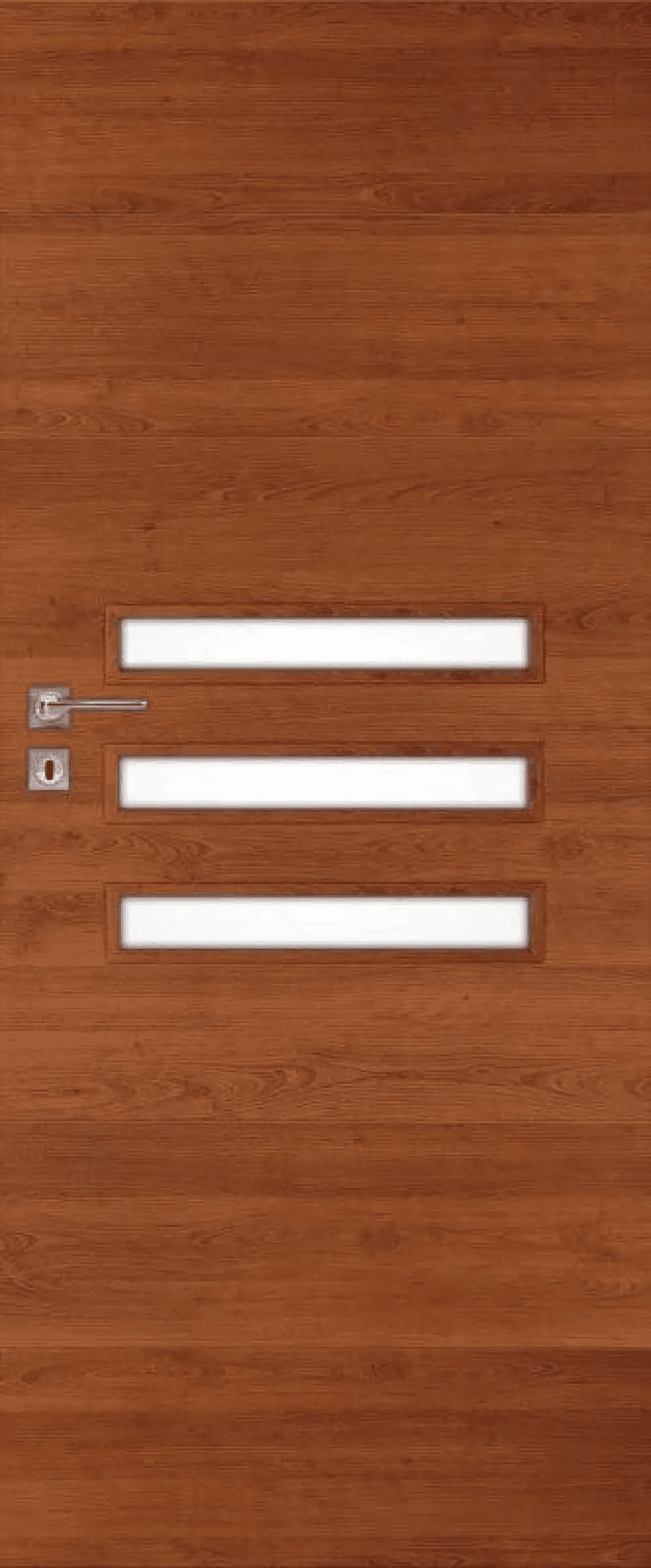 Drzwi Finea B 50, DRE