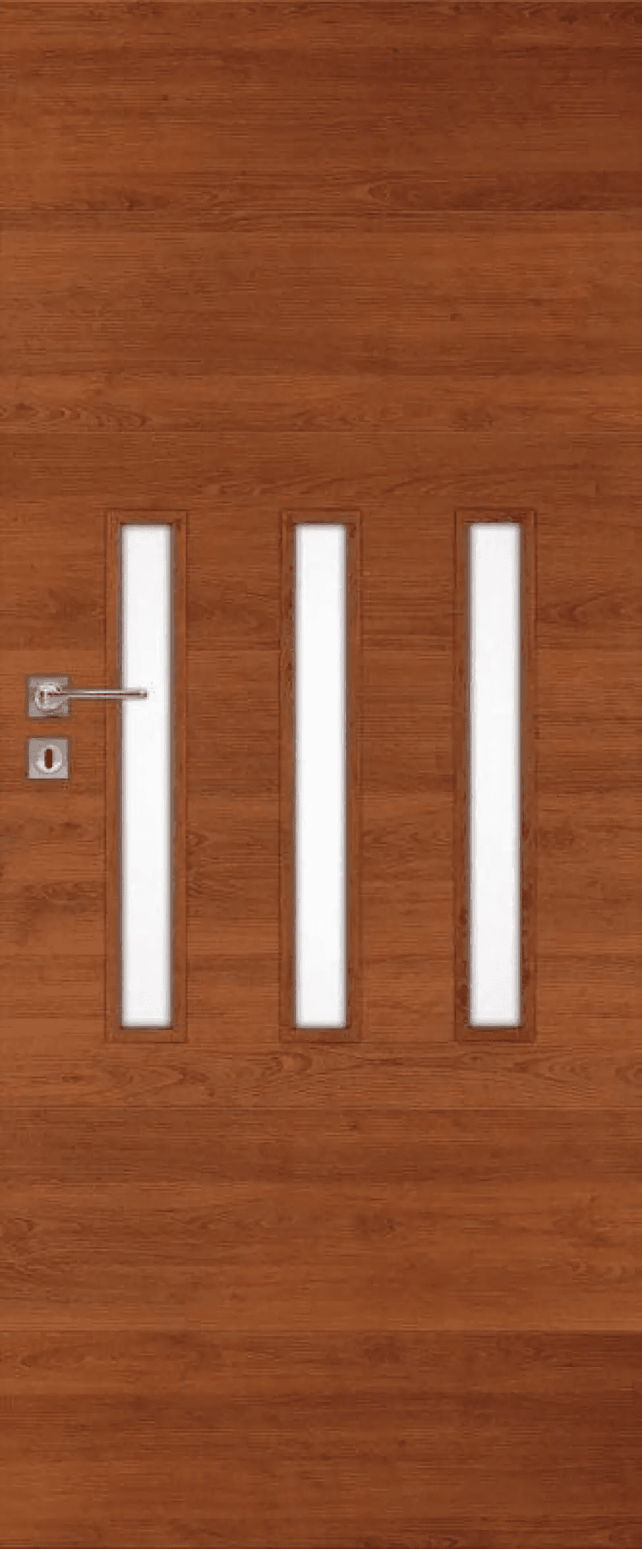 Drzwi Finea B 60, DRE