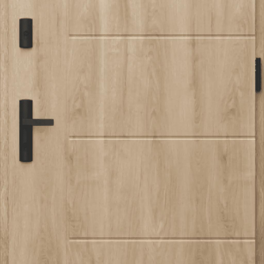 Drzwi Zewnętrzne Model L.1, PORTA