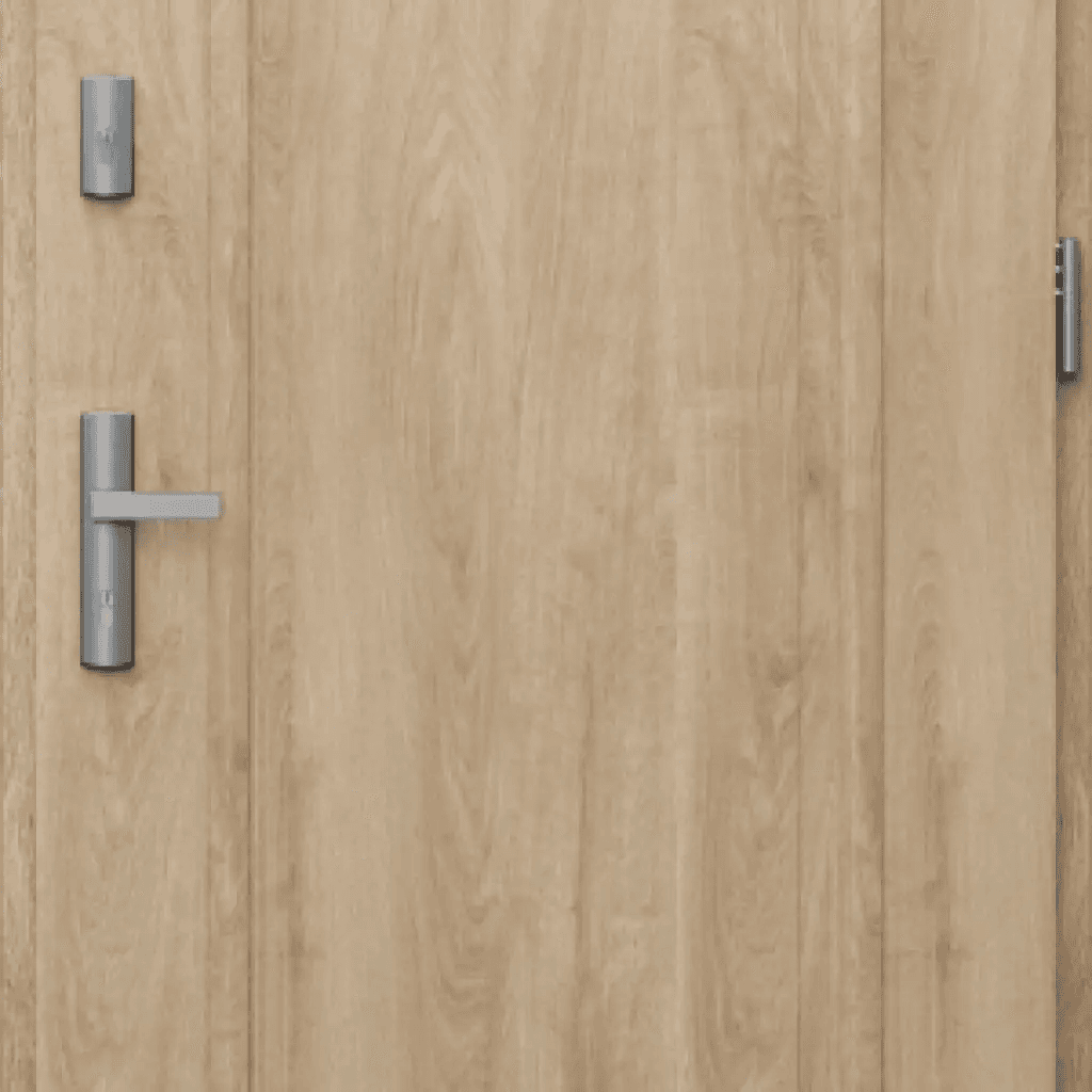 Drzwi Zewnętrzne Model C.1, PORTA