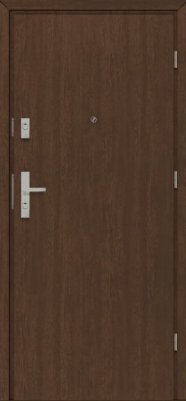 Drzwi Wejściowe CERBER PLUS pełne  00, POL-SKONE