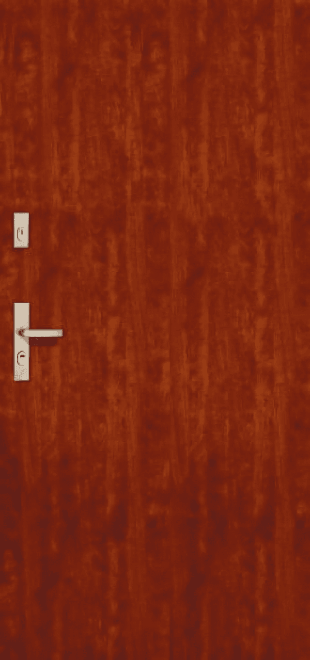 Drzwi Wejściowe B-30 wzór 0, POL-SKONE