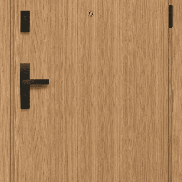 Drzwi Wejściowe Falco W00, POL-SKONE