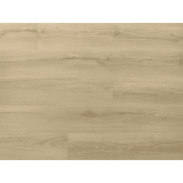 Panele Winylowe SPC LVT Dąb Princeton CAS 228 Klasa 33 5 mm, 5905167856482, Arbiton