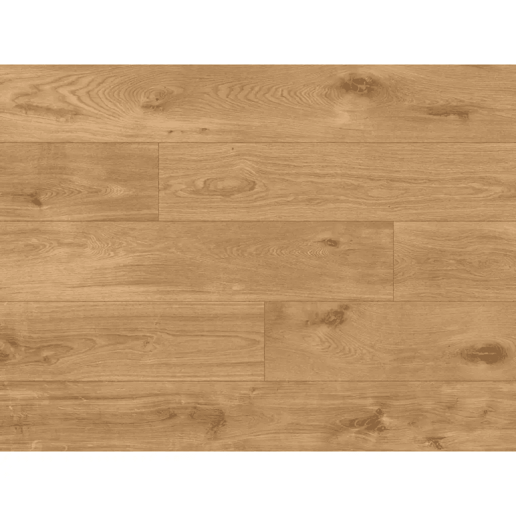 Panele wnylowe ze zintegrowanym podkładem Safari 65144 Klasa 34 5 mm, Classen