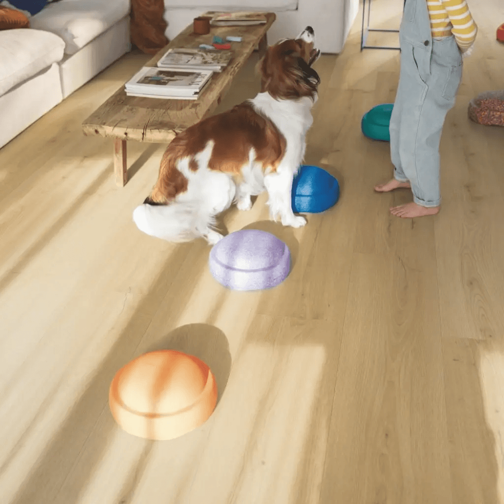 Panele winylowe SPC LVT z podkładem Dąb Szczotkowany Miodowy Klasa 33 6 mm, AVMPU40318, Quick-Step Unilin