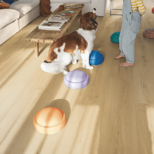 Panele winylowe SPC LVT z podkładem Dąb Szczotkowany Miodowy Klasa 33 6 mm, AVMPU40318, Quick-Step Unilin