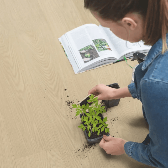 Panele Winylowe SPC LVT Dąb mleczny AVSPU40277 Klasa 33 5 mm, Quick-Step Unilin