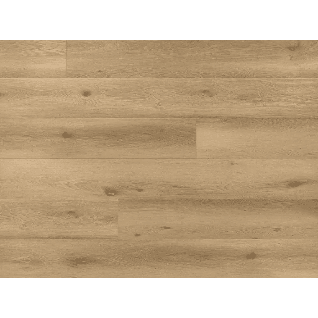 Panele winylowe SPC LVT Dąb Asturia CASS 210 Klasa 33 5 mm, 5905167856536, Arbiton