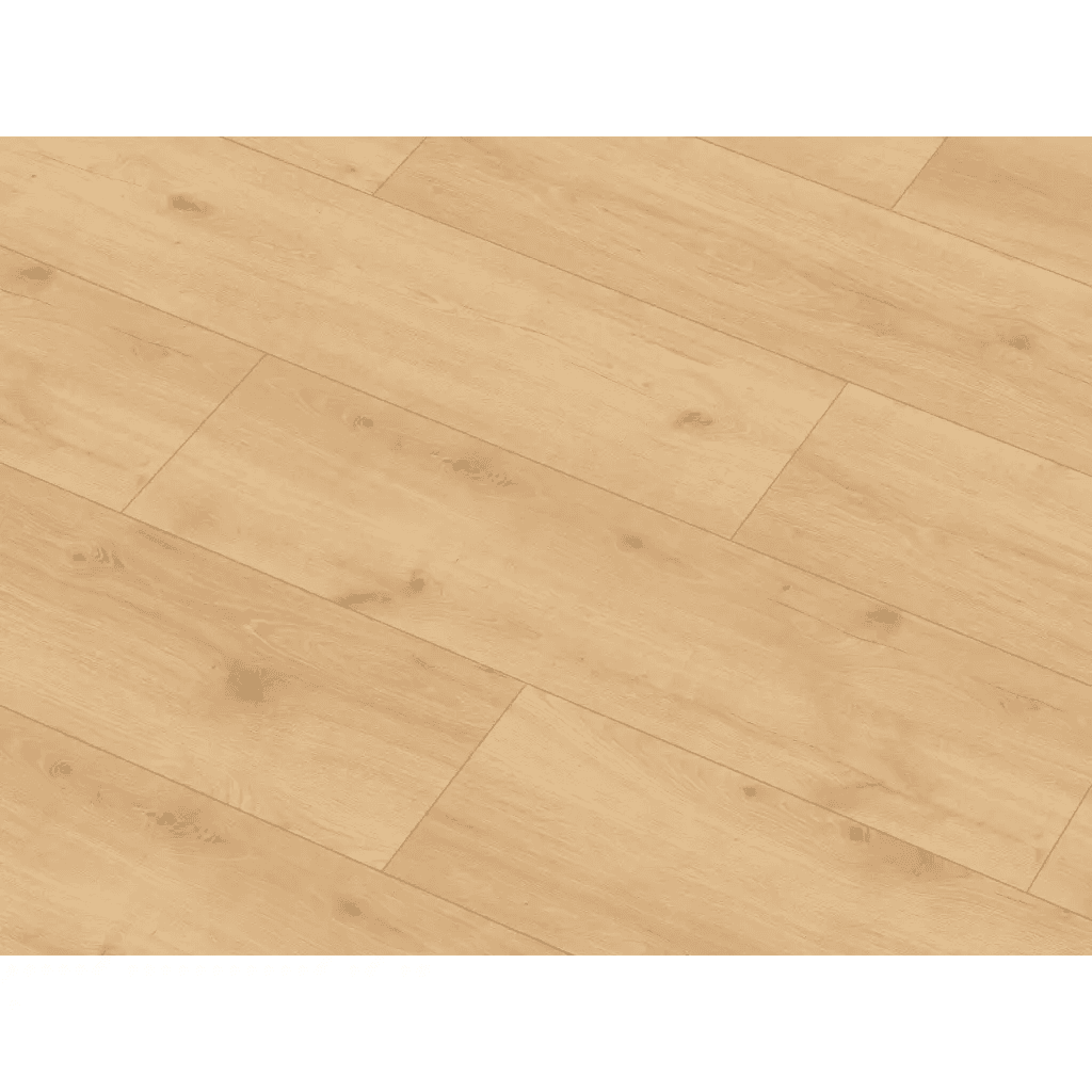 Panele Podłogowe Amado XL AC5 8 mm, 56194Large, Classen