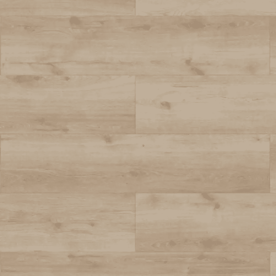 Panele podłogowe Sonolta XL AC5 8 mm, 56195Large, Classen