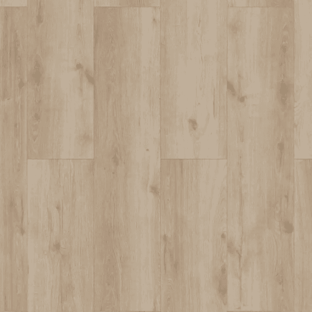 Panele podłogowe Sonolta XL AC5 8 mm, 56195Large, Classen