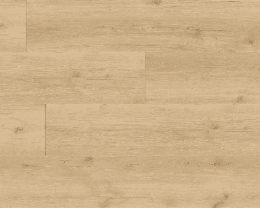Panele podłogowe Hayden XL AC5 8 mm, 56192Large, Classen