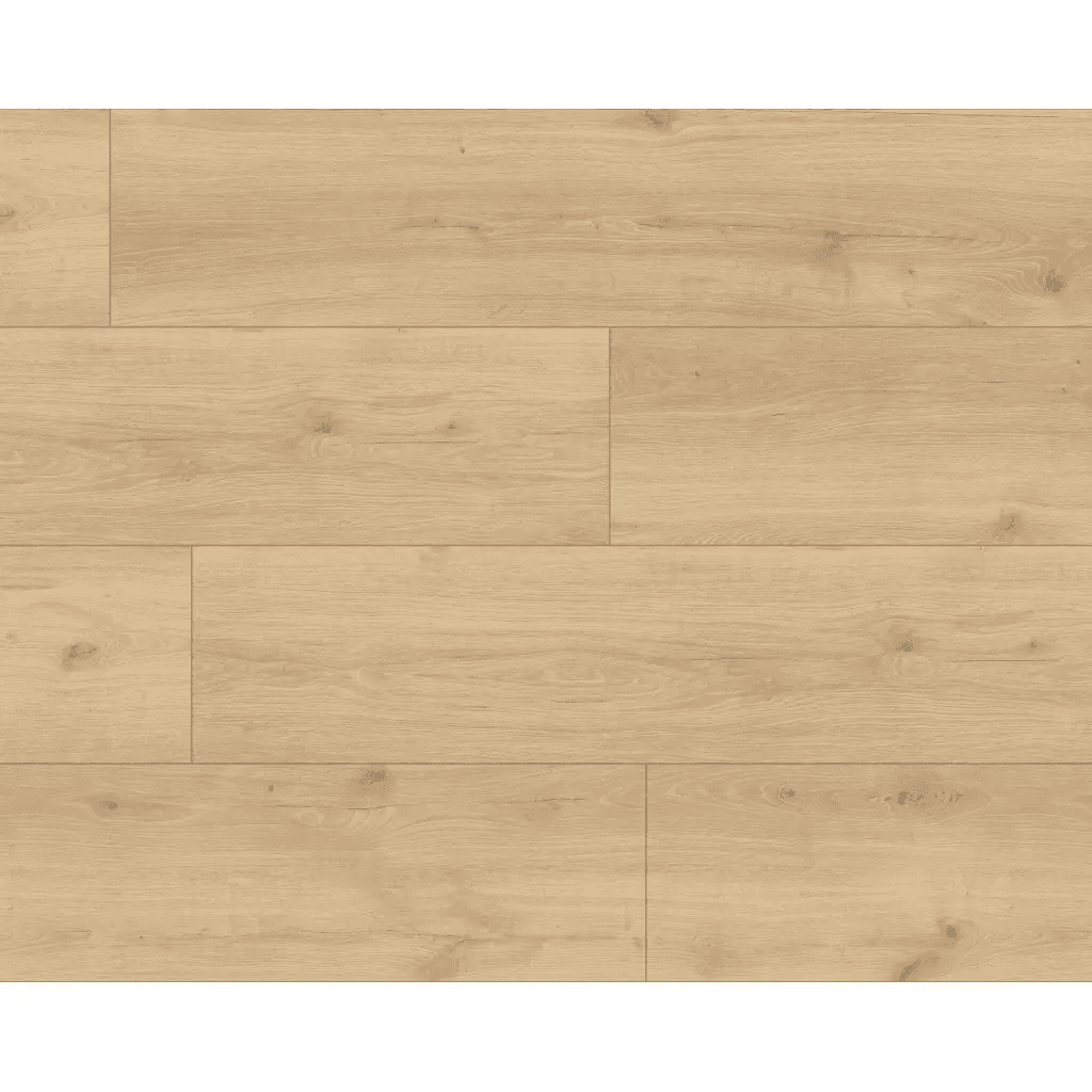 Panele podłogowe Hayden XL AC5 8 mm, 56192Large, Classen