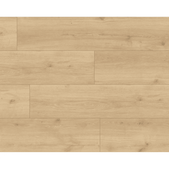 Panele podłogowe Hayden XL AC5 8 mm, 56192Large, Classen