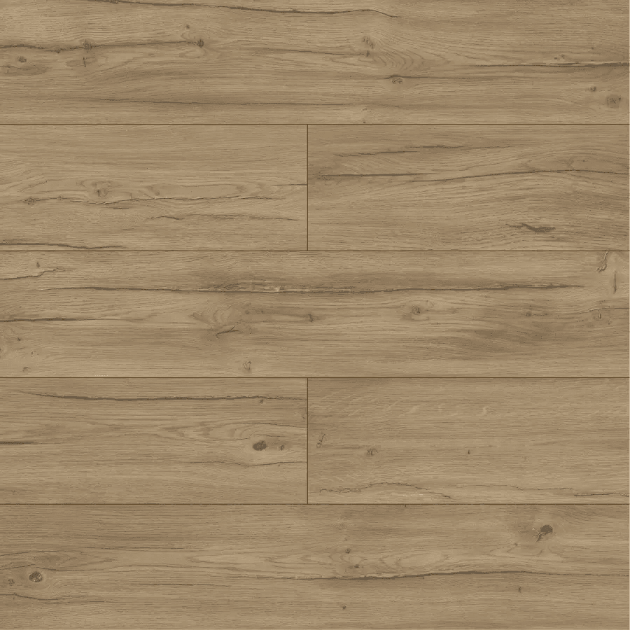 Panele podłogowe Dąb Condor D40254 AC5 8 mm, AUVO40254, Swiss Krono Aurum