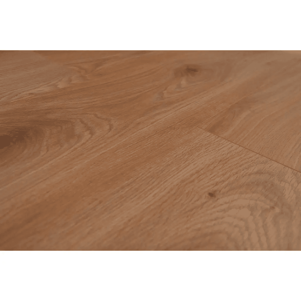 Panele podłogowe Dąb Thorberg BWP854761 AC4 8 mm, Metamorphose