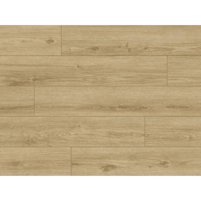 Panele podłogowe ze zintegrowanym podkładem Sandeiche 63675 AC5 9 mm, Classen