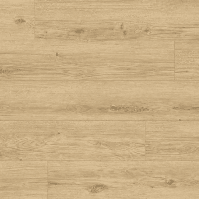 Panele podłogowe ze zintegrowanym podkładem Konigseiche 63684 AC5 9 mm, Classen