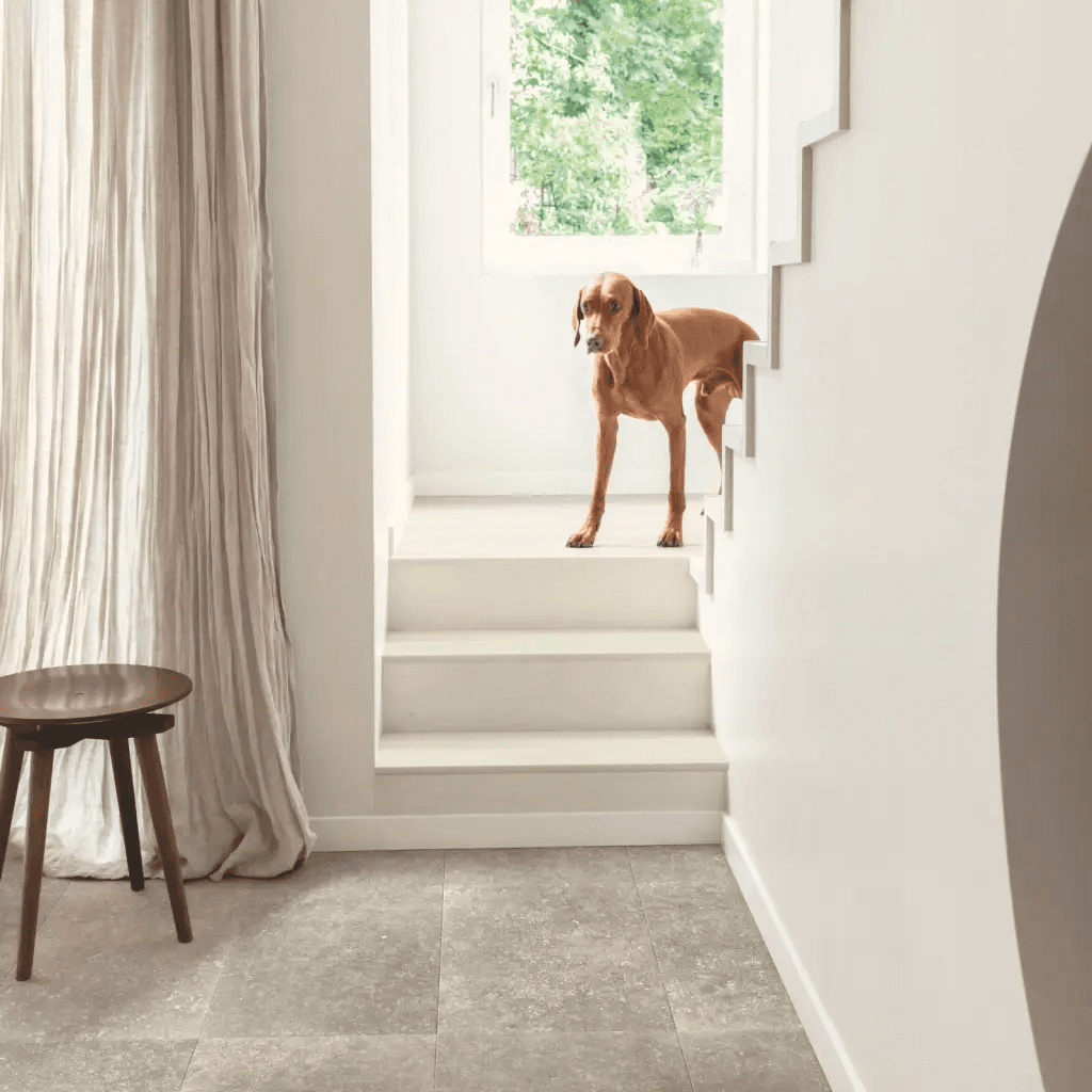 Panele podłogowe MUS5485 Ciemny Kamień AC4 8 mm, Quick-Step Unilin