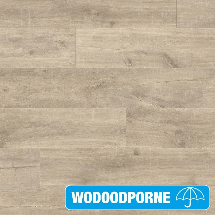 Panele Podłogowe Dąb Havanna Naturalny ze śladami cięcia piłą CLM1656 AC4 8 mm, Quick-Step Unilin