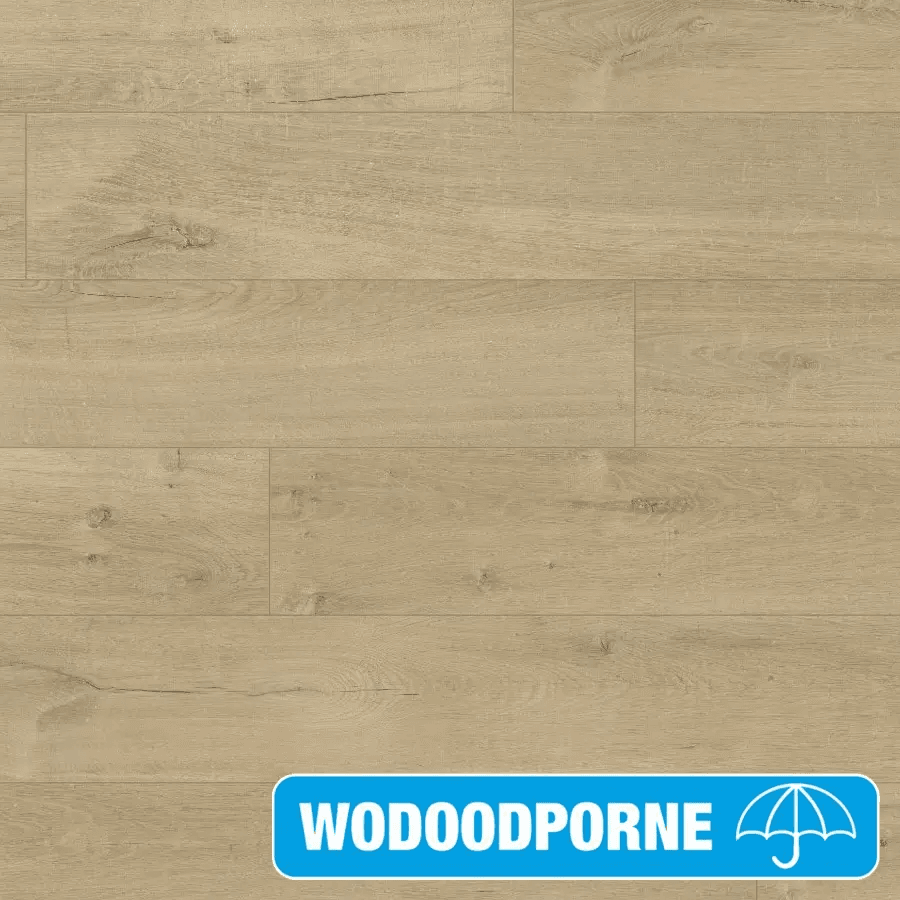 Panele Podłogowe Dąb Spokojny IMU1856 AC5 12 mm, Quick-Step Unilin