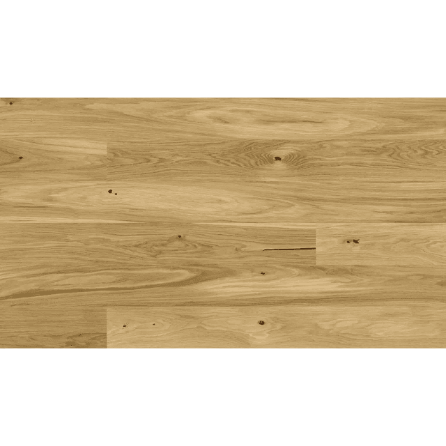 Dąb Askania grande 5Gc 1WG000675 14 mm, Barlinek