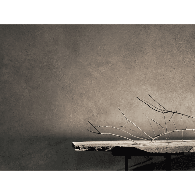 Panele ścienne Zenith Grey 504C , 5905167882351, Modee