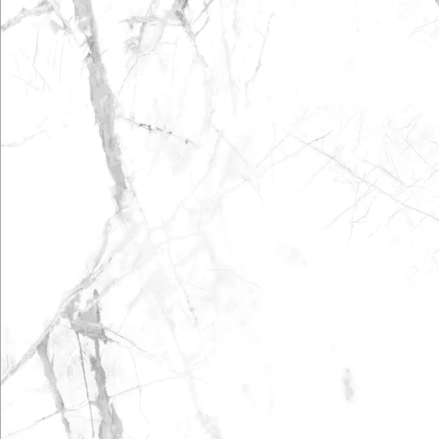 Panele ścienne Calacatta Snow Biały Kamień 120x60 6055829, Vilo