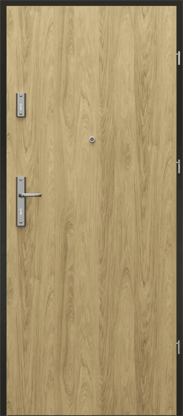 Drzwi Wejściowe Agat Prawe 80 Hikora, SPEA0P0P082OHJSD30O000, PORTA