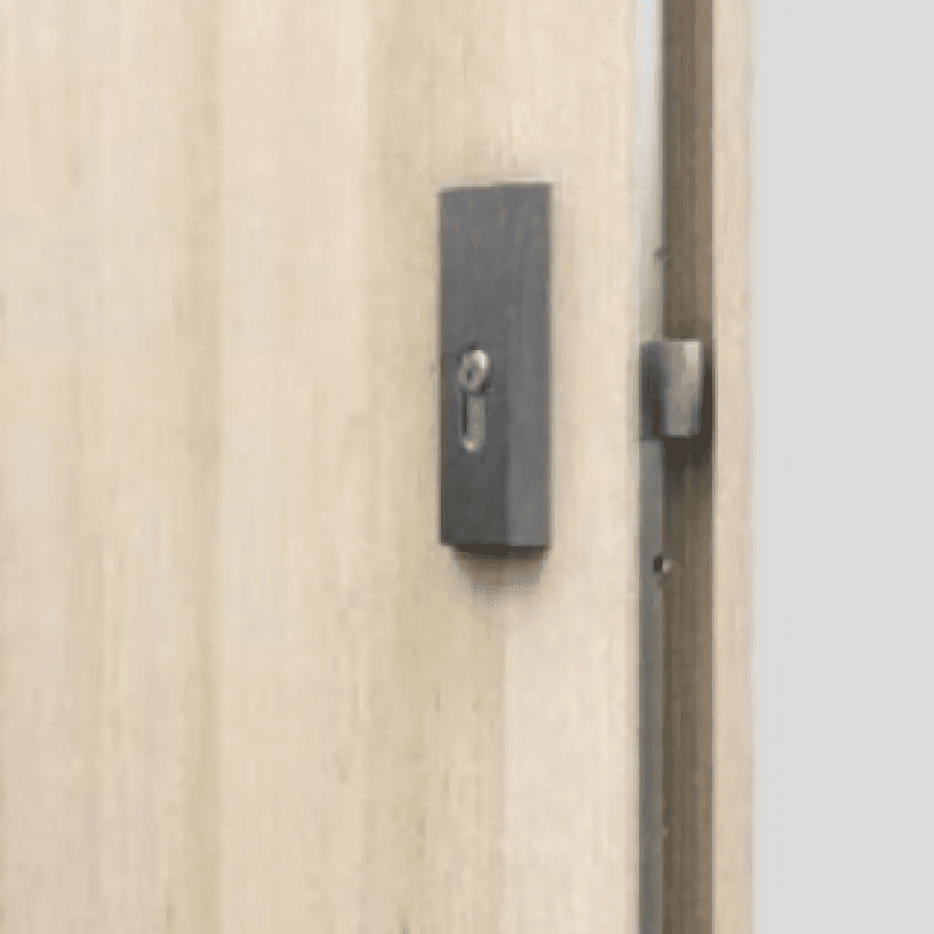 Drzwi Wejściowe Opal Lewe 80 Antracyt, SPEO0P0L082NCJSL30O000, PORTA